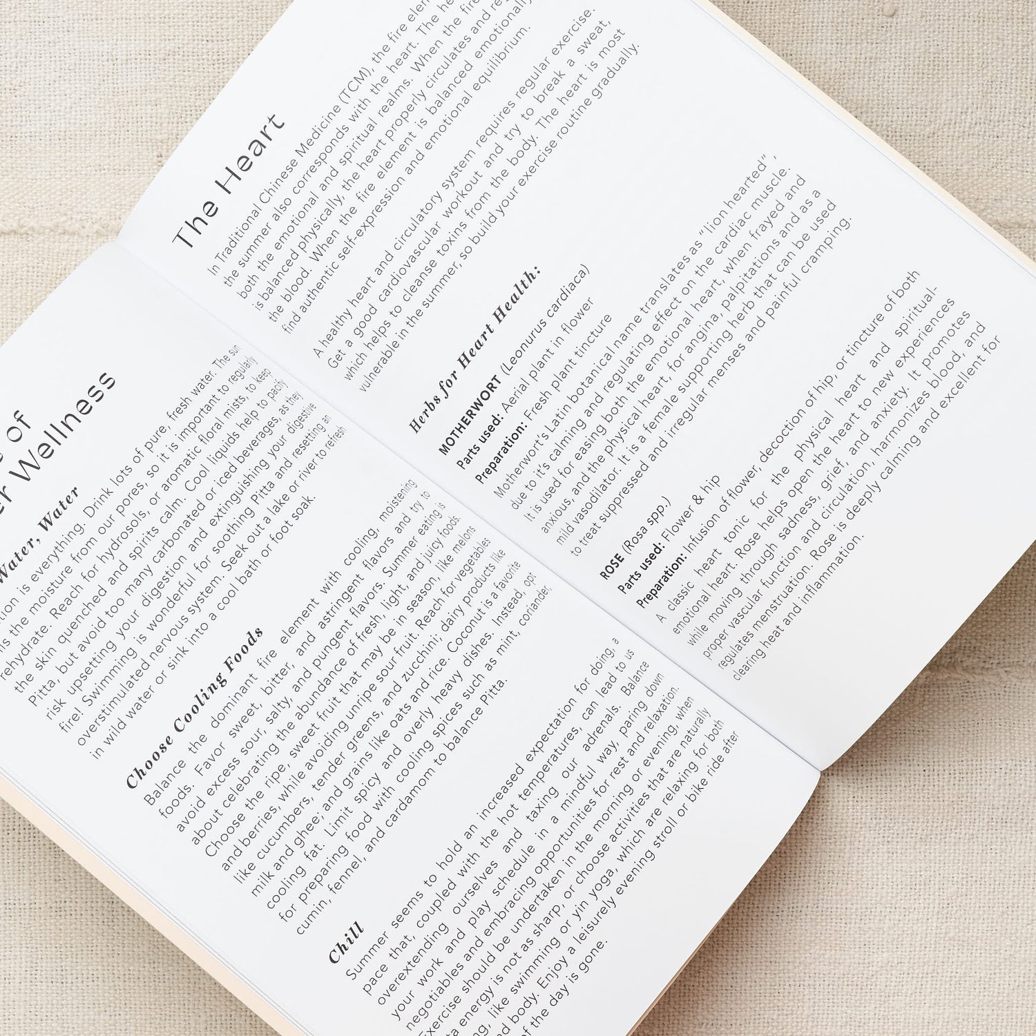 Always Coming Home: A Guide to Seasonal Wellness
