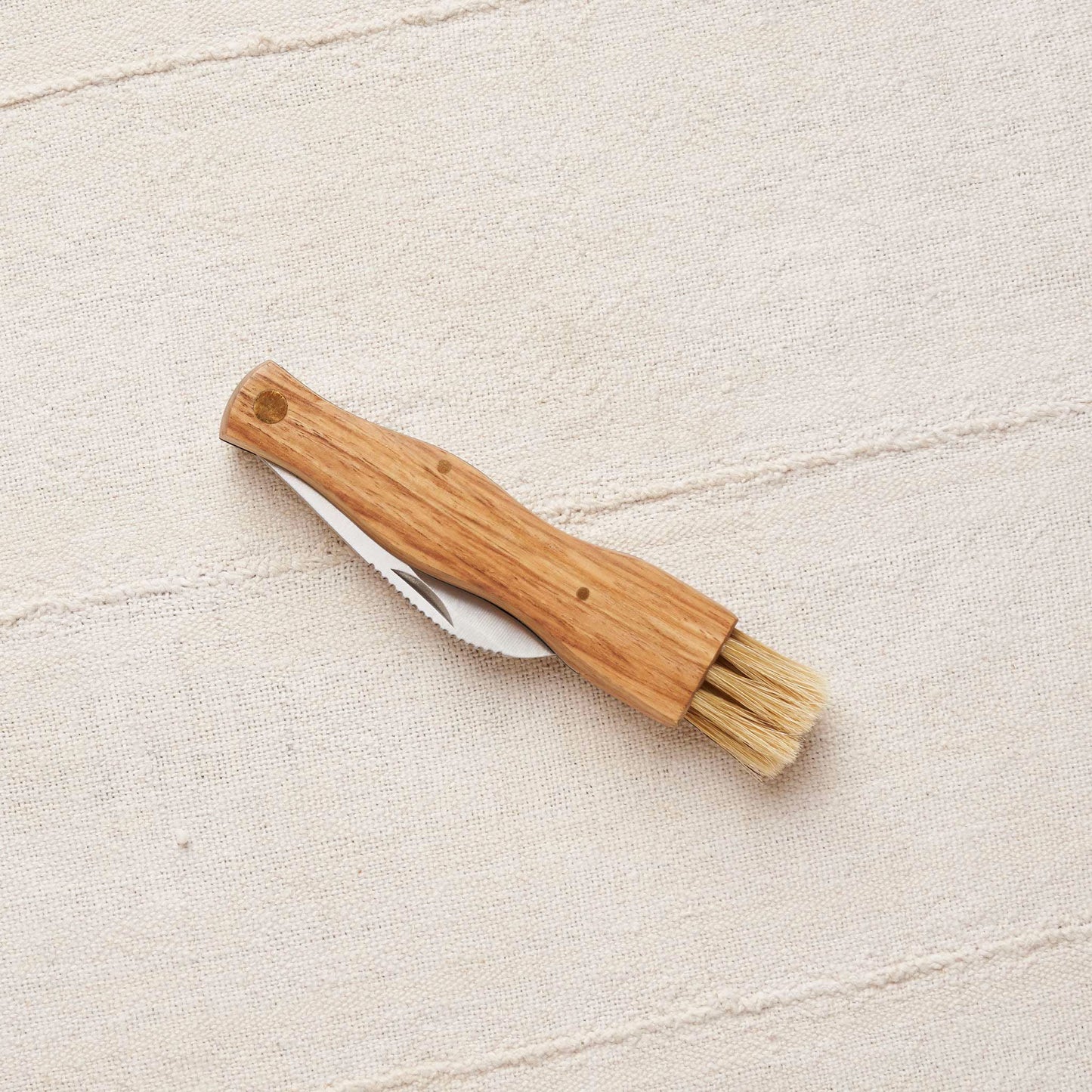 Folding Mushroom Knife