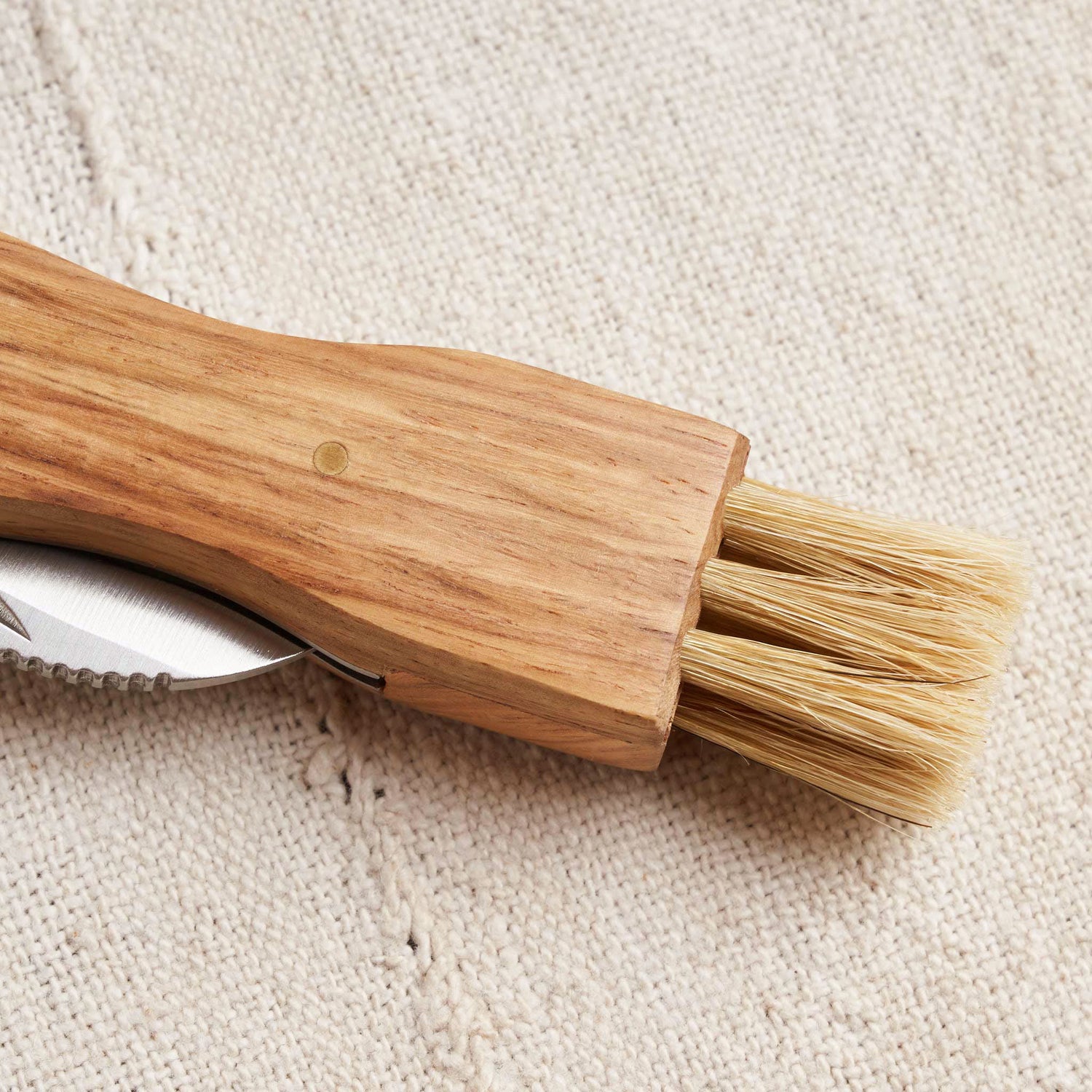 Folding Mushroom Knife