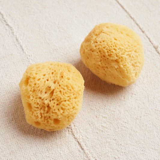 Reusable Flow Sponges