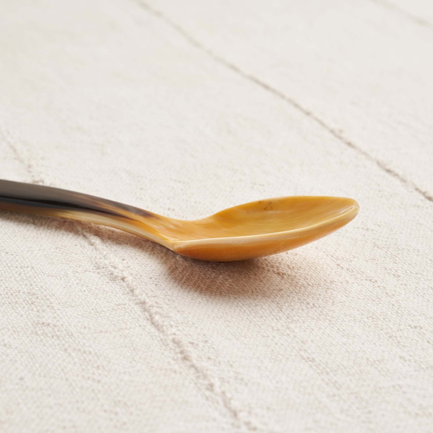 Upcycled Horn Spoon