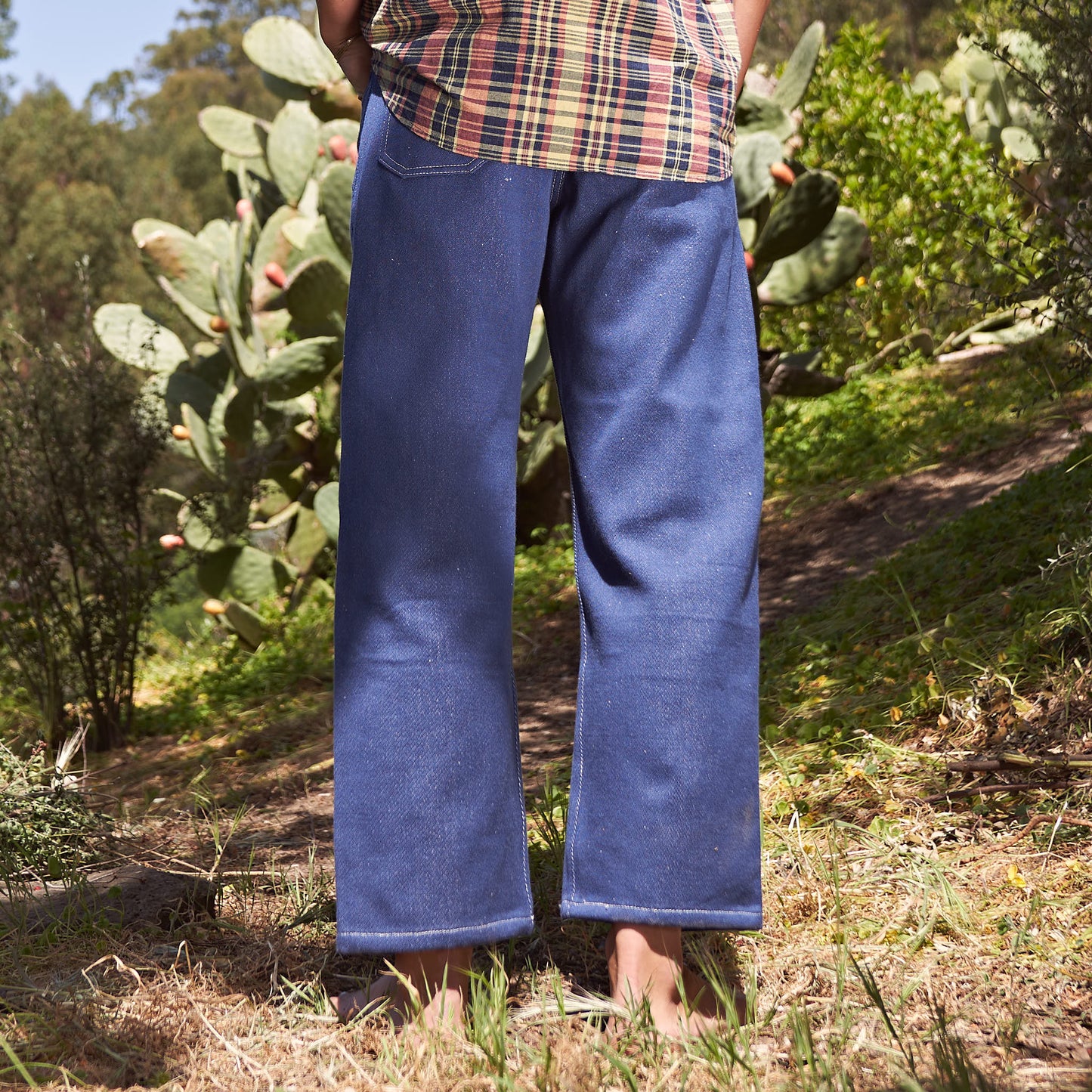 Daily Jean, Indigo Organic Denim