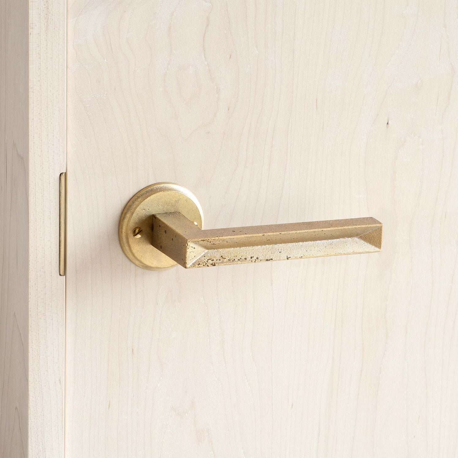 Brushed Brass Door Handle PRIVACY (63mm rose) I Mucheln BERKLEY