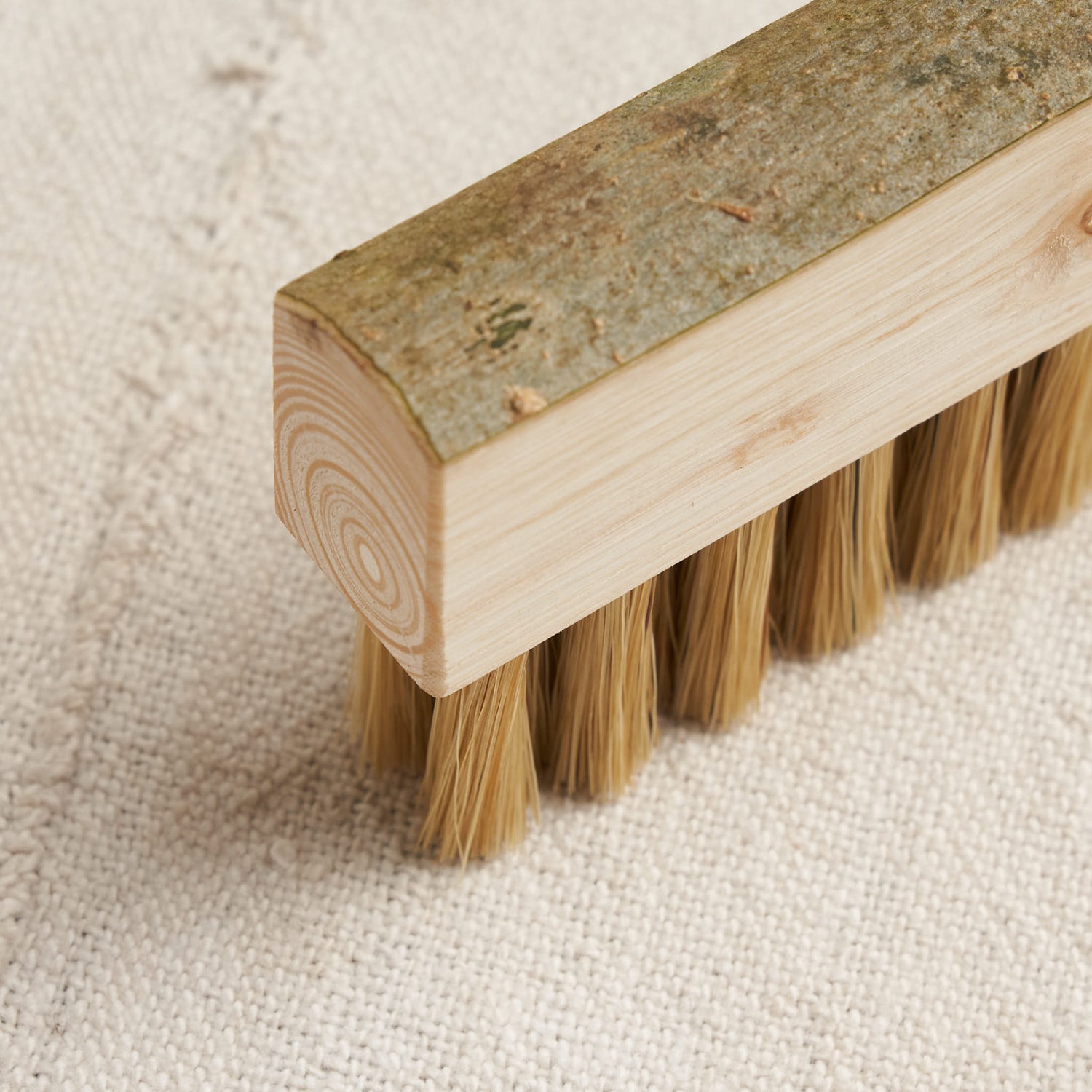 Foraged Dogwood Nail Brush