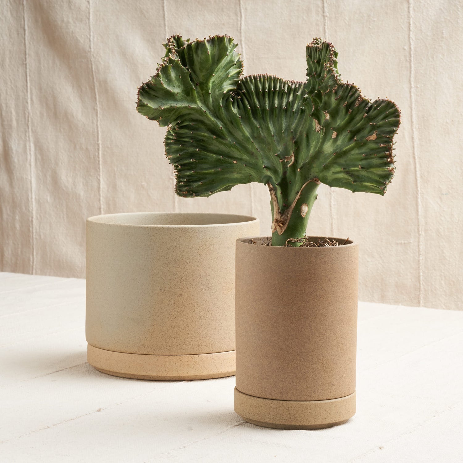 Planter, Unglazed Porcelain