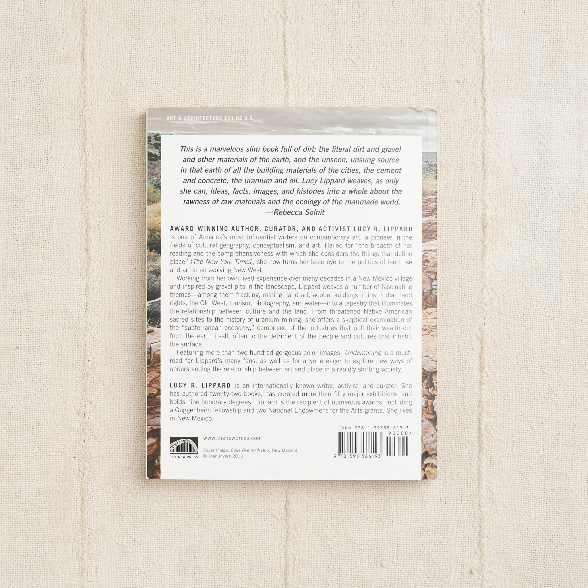 Lucy Lippard Undermining Housework