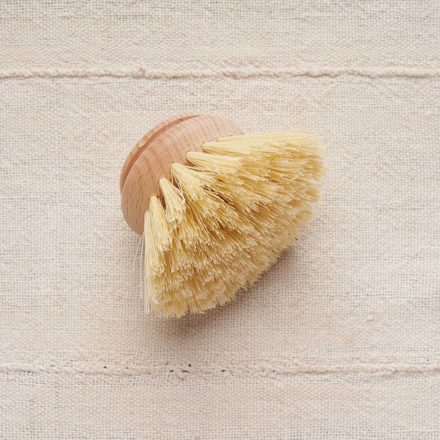 Replacement Brush Head, Firm